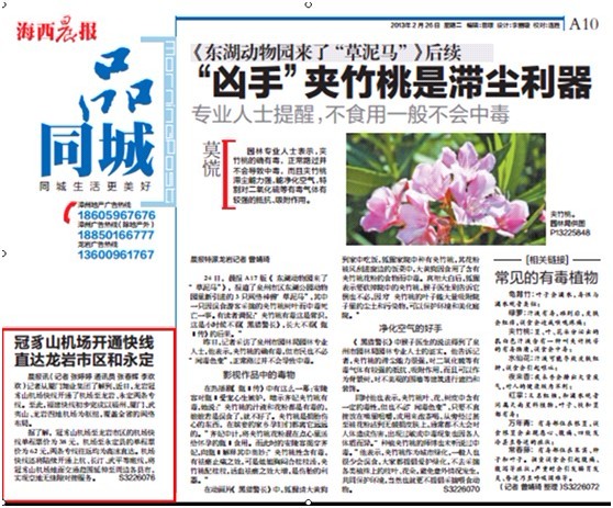 冠豸山機(jī)場(chǎng)開通快線直達(dá)龍巖市區(qū)和永定